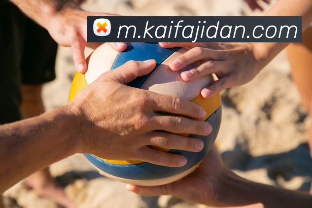 App Interface Preview